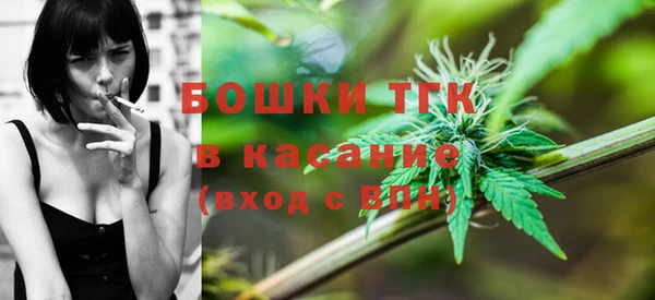 apvp Алексин