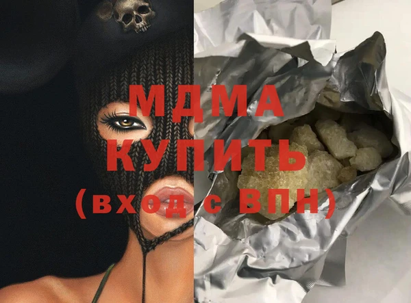 индика Няндома