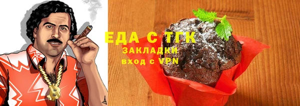 индика Няндома
