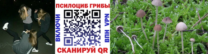 Галлюциногенные грибы Psilocybe  Лагань 